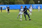 Men's Soccer vs Brandeis  Wheaton Men's Soccer vs Brandeis University. - Photo by Keith Nordstrom : Wheaton, Soccer, Brandeis, MSoc2019